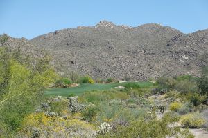 Dove Mountain (Wild Burro) 5th